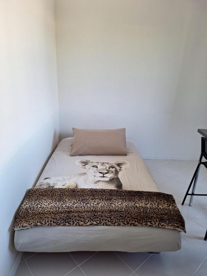 Casa Vanessa 阿雷佐 外观 照片
